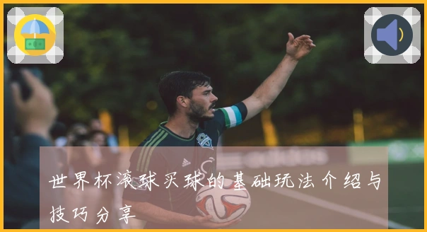 世界杯滚球买球的基础玩法介绍与技巧分享