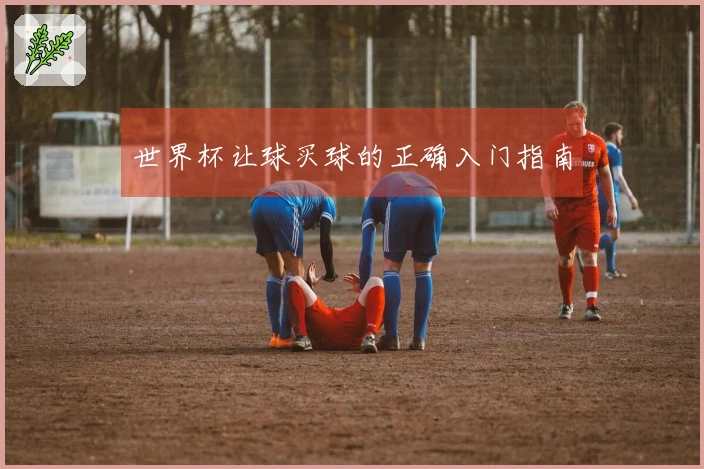 世界杯让球买球的正确入门指南
