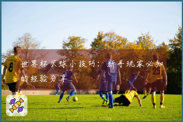 世界杯买球小技巧：新手玩家必知的经验分享