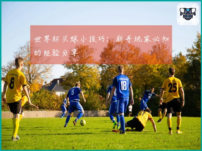 世界杯买球小技巧：新手玩家必知的经验分享