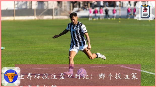 世界杯投注盘口对比：哪个投注策略更具优势