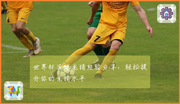 世界杯买球竞猜经验分享，轻松提升你的竞猜水平