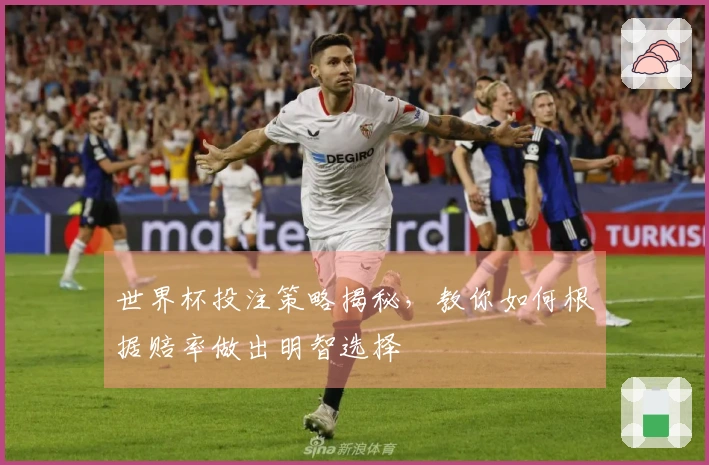 世界杯投注策略揭秘，教你如何根据赔率做出明智选择