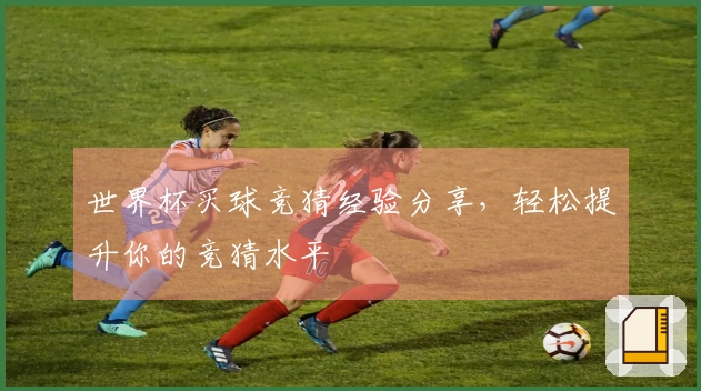 世界杯买球竞猜经验分享，轻松提升你的竞猜水平