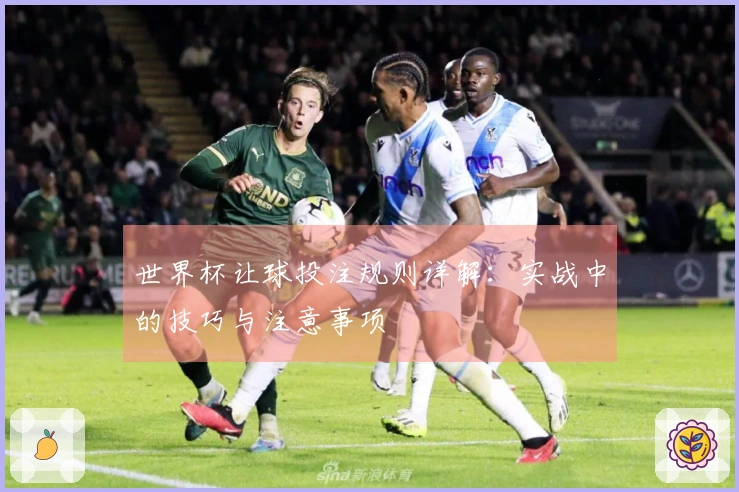 世界杯让球投注规则详解：实战中的技巧与注意事项