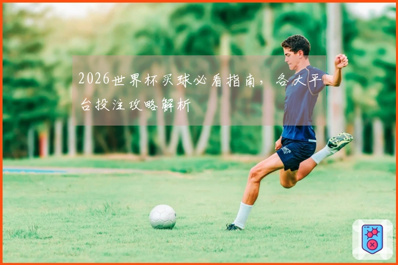 2026世界杯买球必看指南，各大平台投注攻略解析