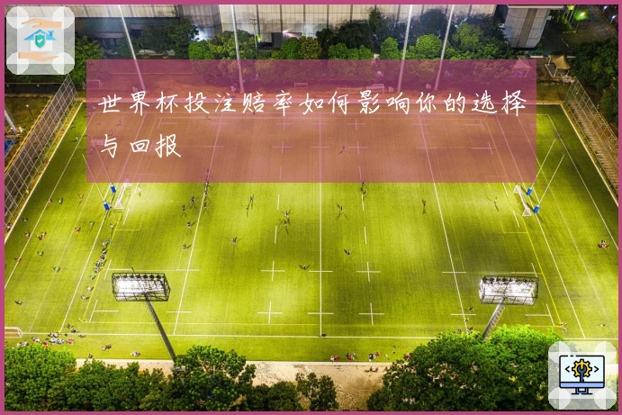 世界杯投注赔率如何影响你的选择与回报